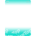 TapTap公测纪念版式，此版式不可被购买