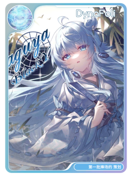 文件:Rizcard DynaFoli.png